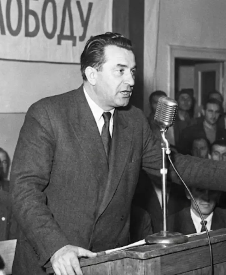Adin Vedran
